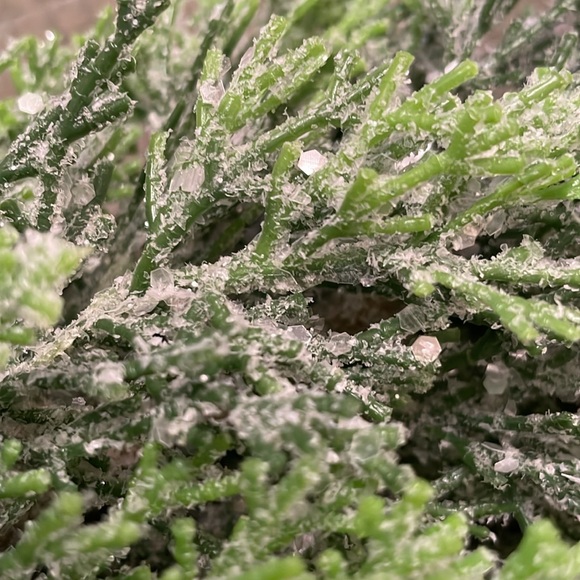 Artificial Faux Cedar Pine Decoration Potted Plant Flocked with Glitter Like - Picture 14 of 15